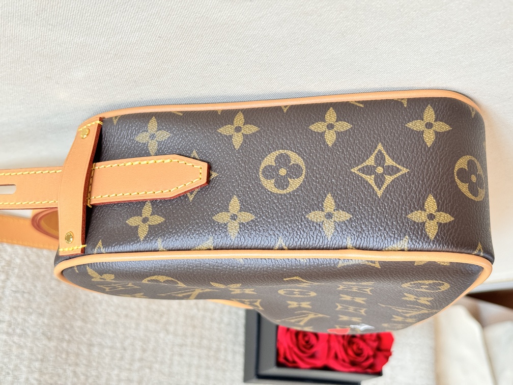 100 Original Louis Vuitton Coeur Heartbag Monogram Fall in Love